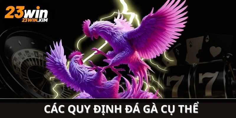 Các quy định đá gà cụ thể