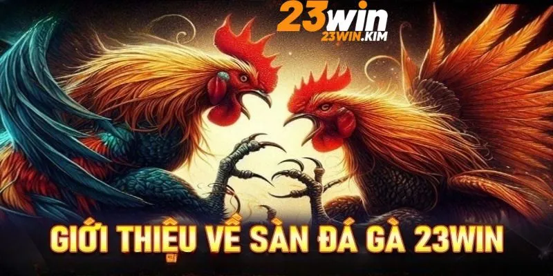 Thông tin hấp dẫn về sảnh chơi đá gà tại 23win