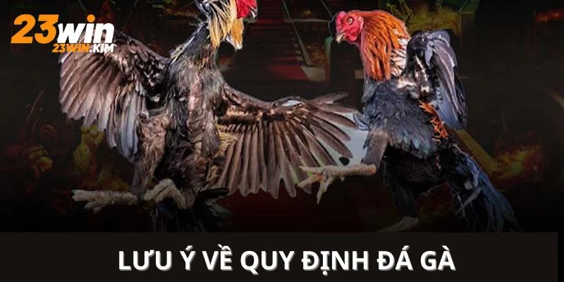 Lưu ý quan trọng cần chú ý