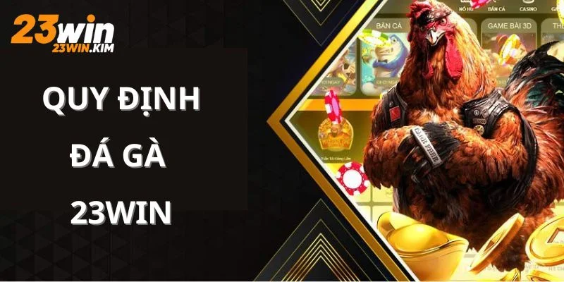 Giới thiệu về quy định đá gà