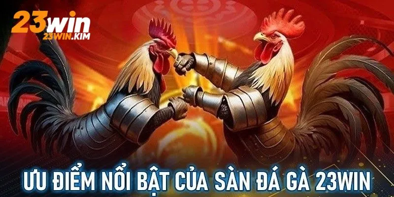 Ưu điểm hấp dẫn cho người chơi khi trải nghiệm đá gà 23win